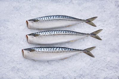 _Скумбрия б/г с/м