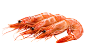 Креветки 