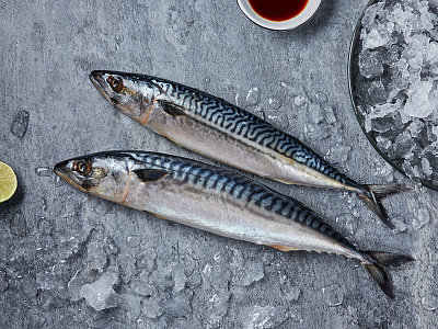 Скумбрия дефростированная