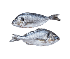 Замороженная рыба  Замороженная рыба